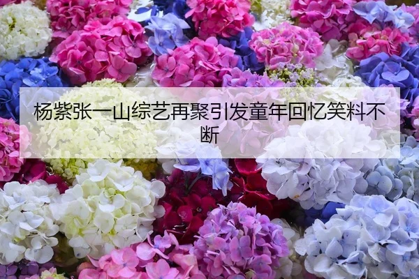 杨紫张一山综艺再聚引发童年回忆笑料不断